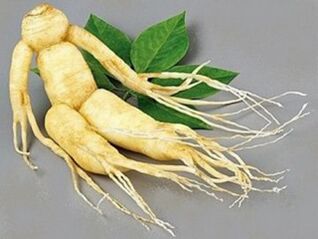 ginseng erro potentziarako